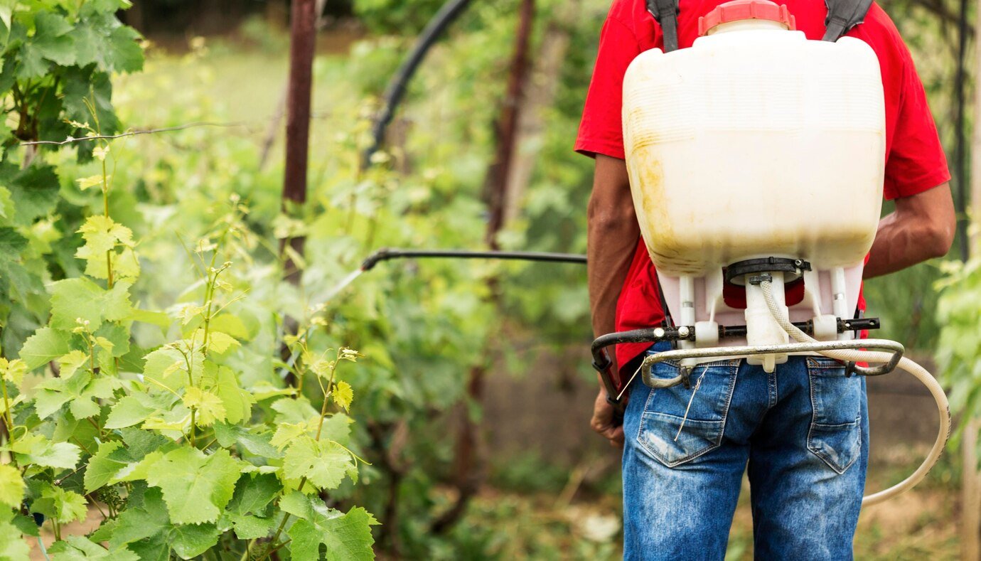 back-view-farmer-watering-plants_23-2148573813