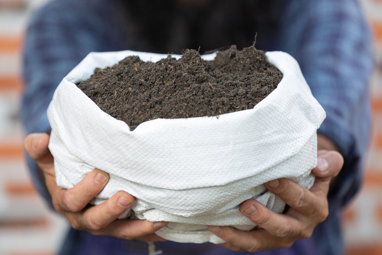 selling plant online;close up picture of hand holding sack of soil