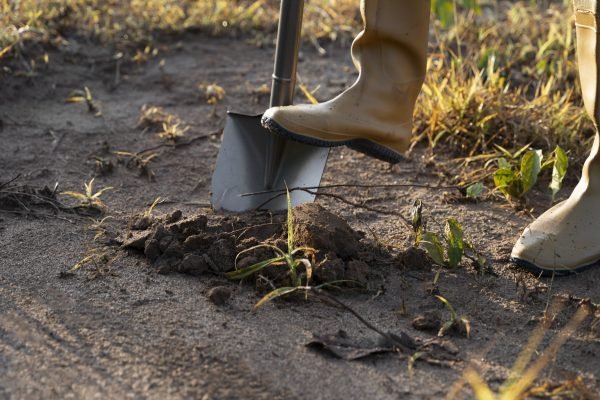 person-planting-tree-countryside